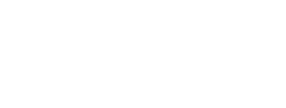 Gower Authority
